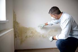 Reliable Chula Vista, TX Mold Remediation Solutions